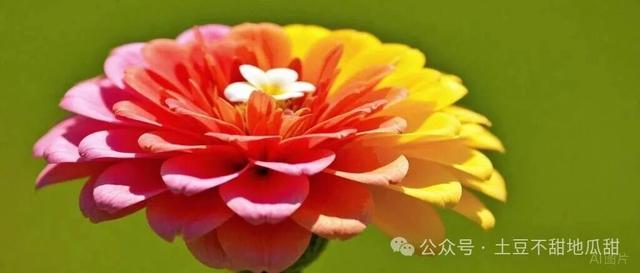 女人有了新欢，表现是如此明显