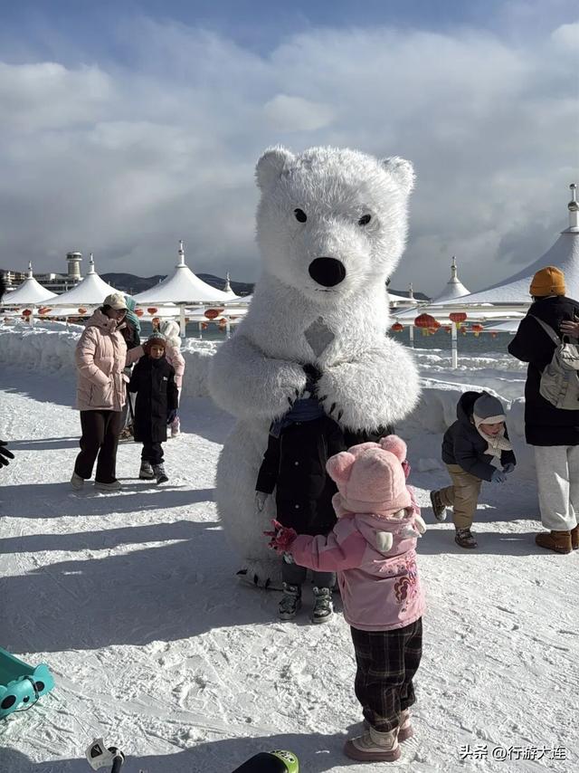 除了海，大连冬日“顶流”竟然是它们？
