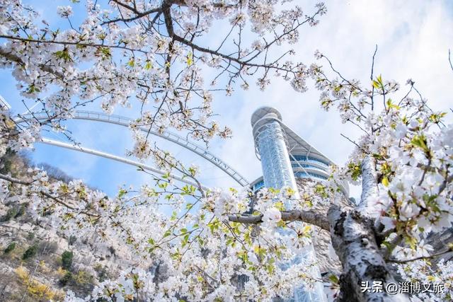 七家景区免费福利！淄博春节“错峰游”大招上线！现在出发刚刚好
