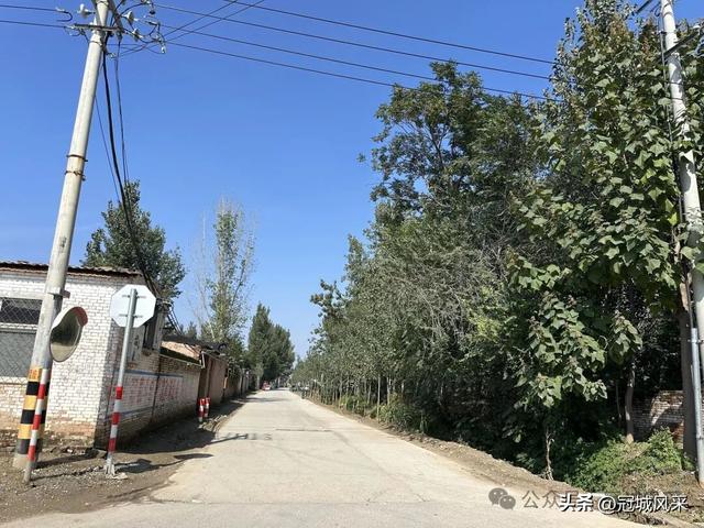 冠县乡韵·兰沃乡大柳邵村