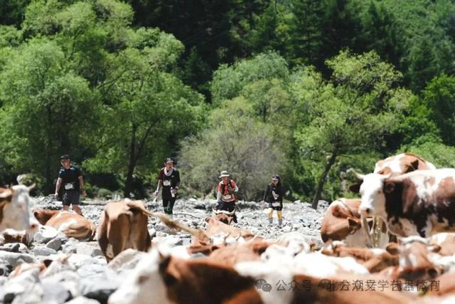 山地越野雁门关（石俊文）