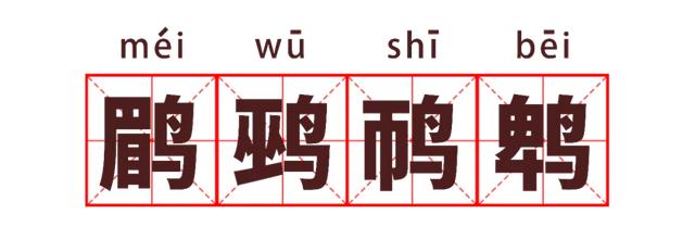 湖北公安 |【万里长江湖北行】鹳䴙䴘鸻鹈鹕鳽鹬鹛鹀䴓鹎，到底怎么读？