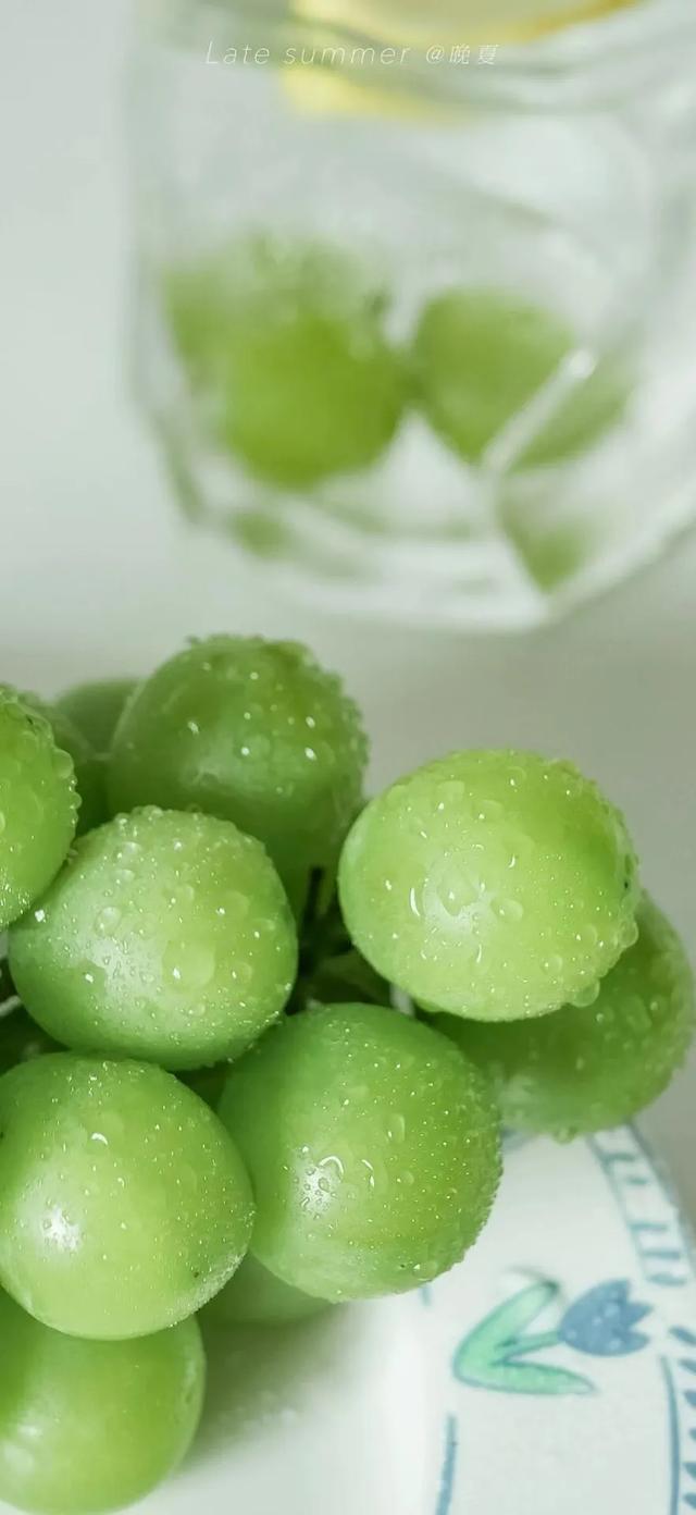 壁纸|拥有什么就享受什么吧～