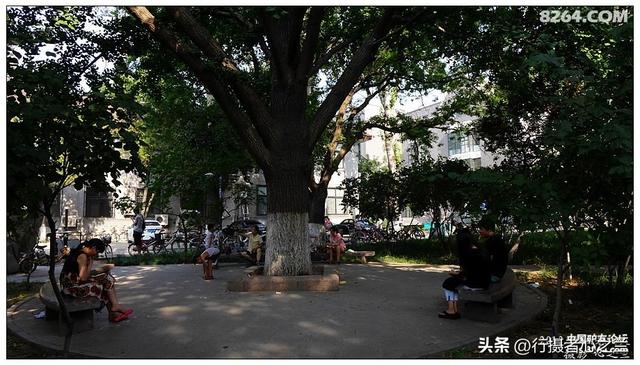 山东行游影记（15）—济南山东大学（二）