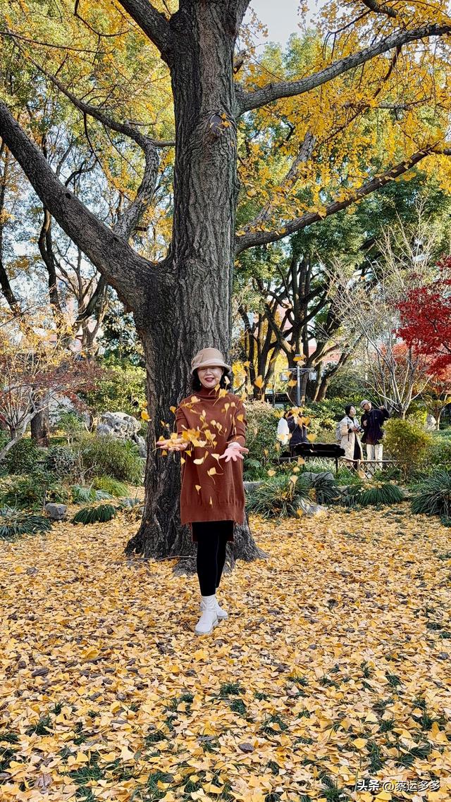 沪上园林古猗园已达颜值巅峰