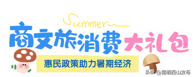 湖畔西山 清凉一夏 | 2025昆明“滇生菌物生活季”启幕，西山商文旅消费盛宴全面开启