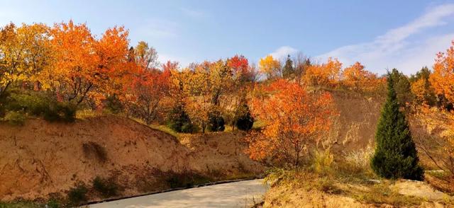 兰仓秋，染山河。
