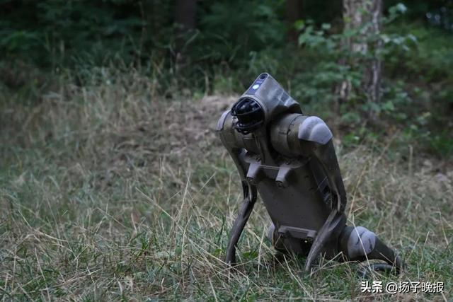 乌军称俄士兵向机器人部队投降