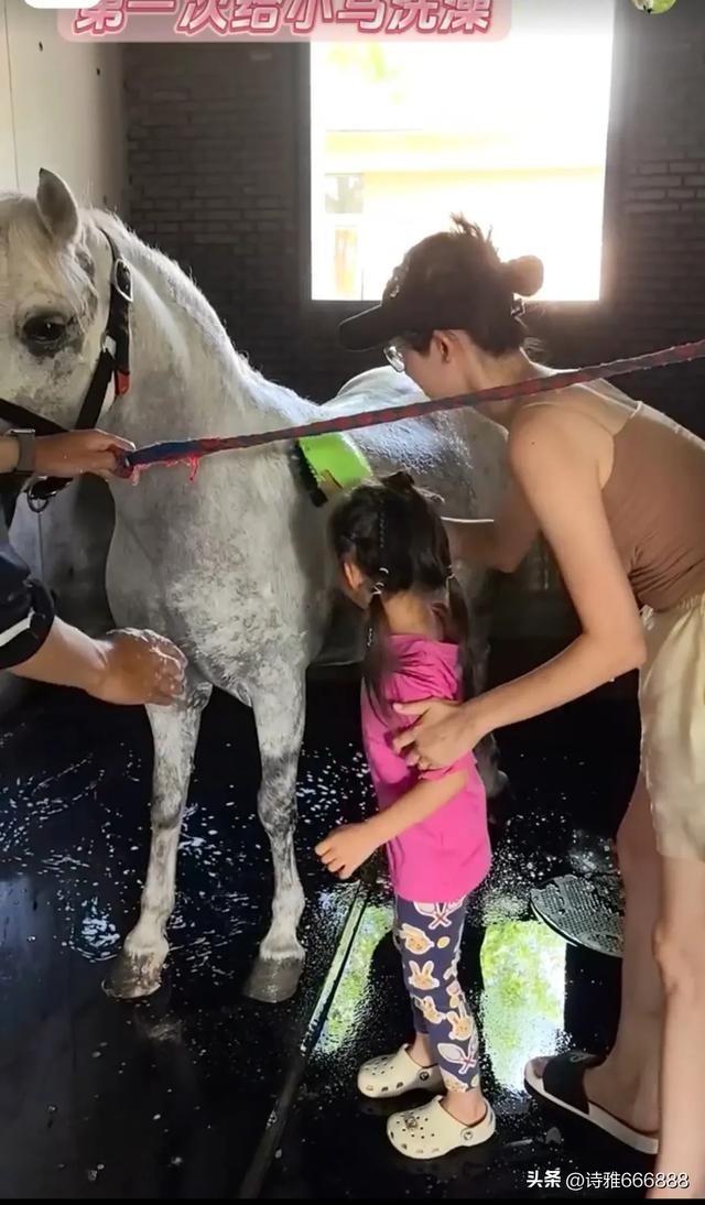 郑恺和苗苗暑假带儿女去阿那亚旅游，一家人幸福感都溢出屏幕了！