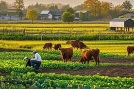 家庭农场申报条件图片