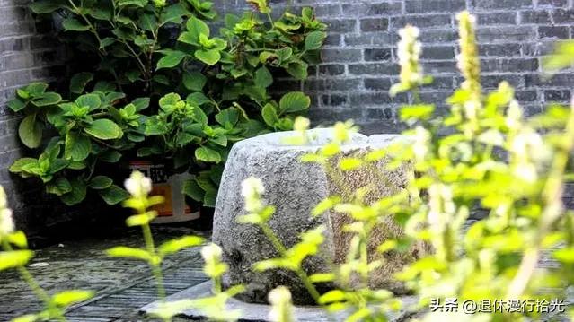 离开扬州多年,我仍走不出这抹烟火与诗意