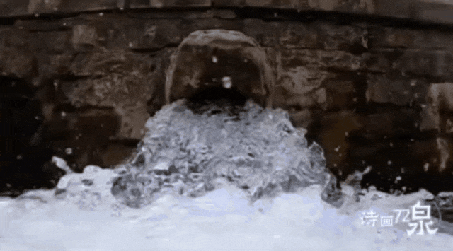 被济南泉水下的世界惊艳到了！