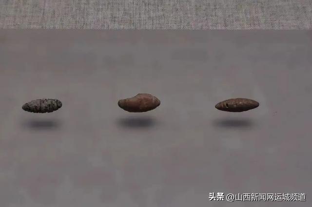全国百强！运城博物馆实力突围！
