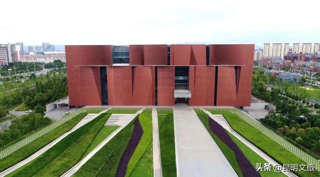 超详细攻略!在昆明官渡,与鸥共舞,六种玩法开启冬日漫游!