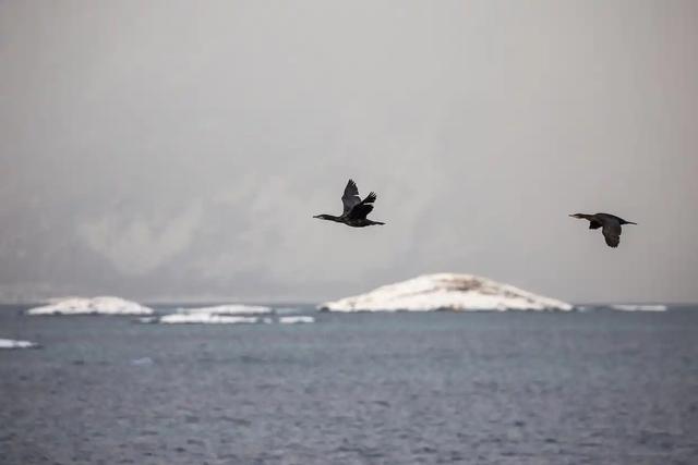 跌落、冲出、被击落？美军战机漏洞百出接连坠毁	，丢人丢到全世界