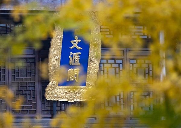 扬州冬韵 银杏鎏金