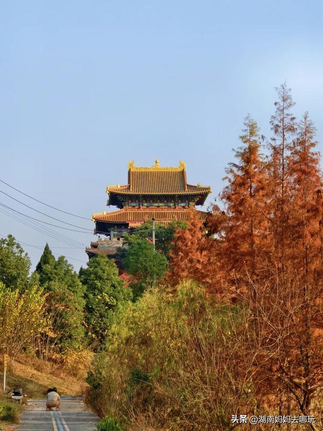 公交直达冬日限定“小东非”，带娃解锁长沙safari隐藏玩法！