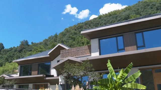 黄浦江源片区“水陆空”全线出圈！