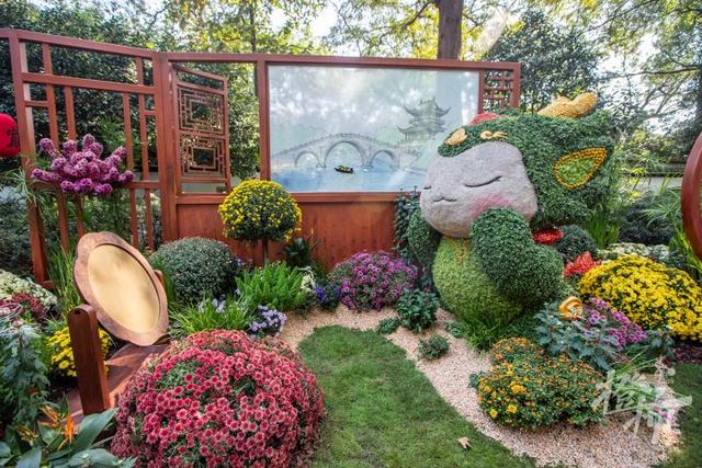 全是人人人人人！一年一度杭州“顶流”人气菊花展登场