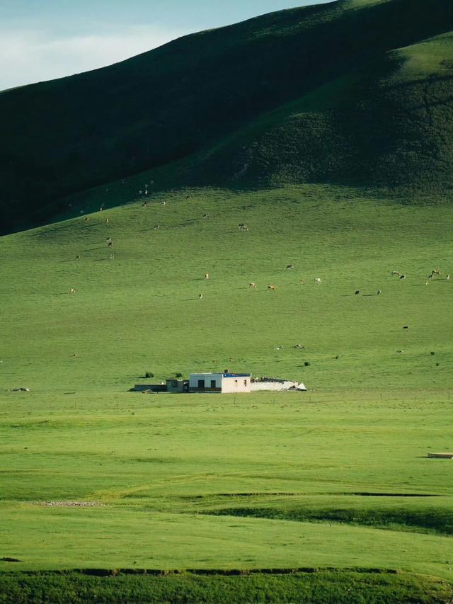 我爱这络绎不绝的无意义的瞬间 ​