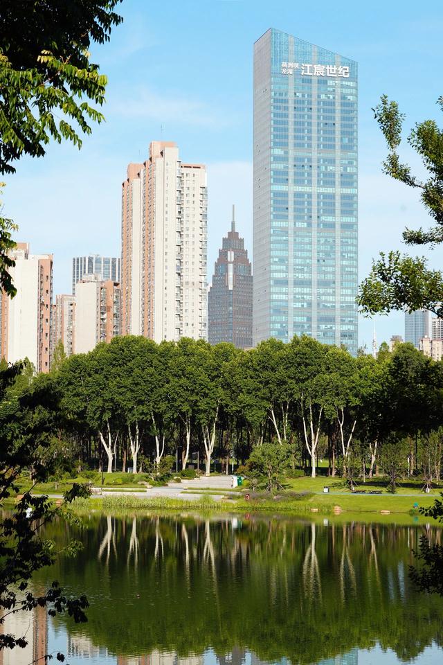 556米，玩一天！江汉这条林荫路越来越惊艳