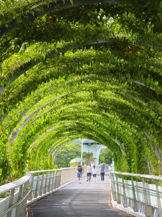 树“隧道”、海上潮玩、峡谷氧吧、飞瀑流泉……解锁山海清凉之旅→