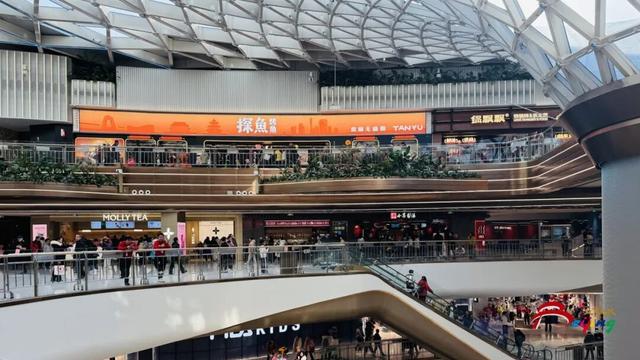 太火爆！“湾里”正式启幕！现场直击来了——