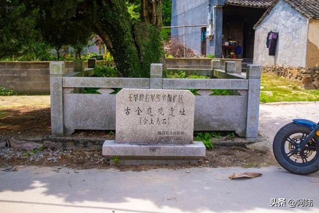 历经艰辛来到金庭观遗址，却只见一棵老树婆娑，新昌文旅赔我油钱