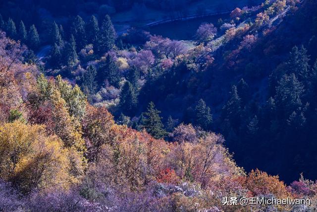 古意秋风三万里（D29）-从卓尼到迭部