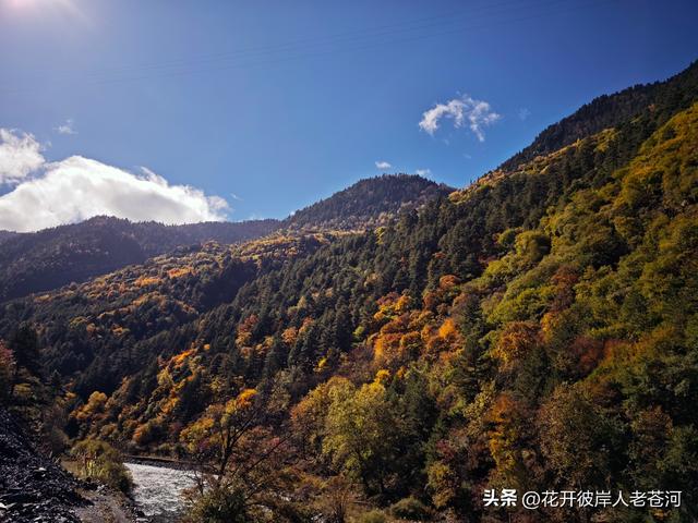 米亚罗彩林季，观赏一日游！