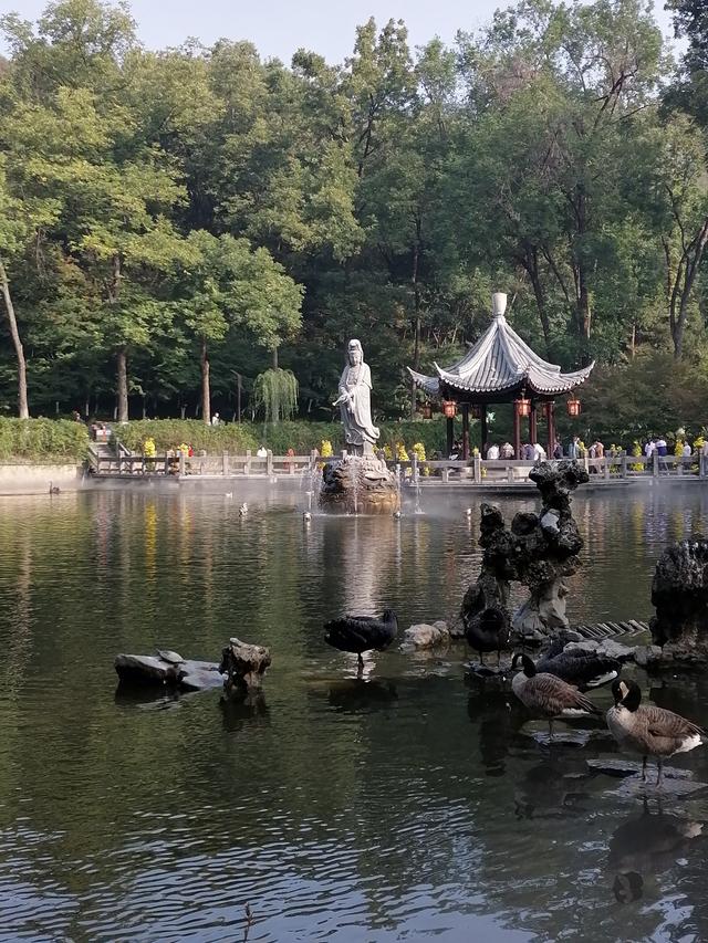 南京栖霞山，当下赏红叶一份实用指南