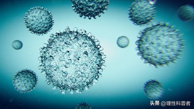 病毒，到底是生物还是非生物？本文为你解读