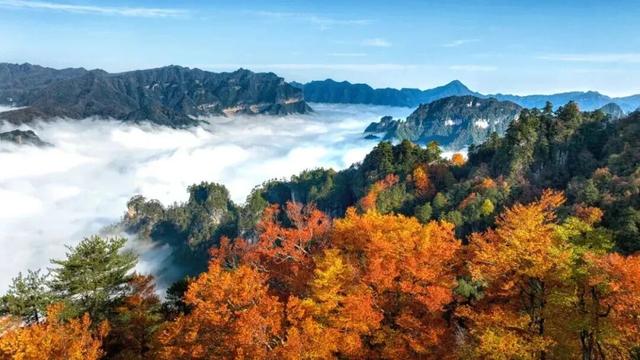 追了光雾山的红叶，这个秋天没白过！