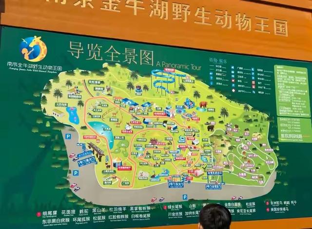 零距离邂逅神奇动物！南京金牛湖野生动物王国超详细游玩攻略