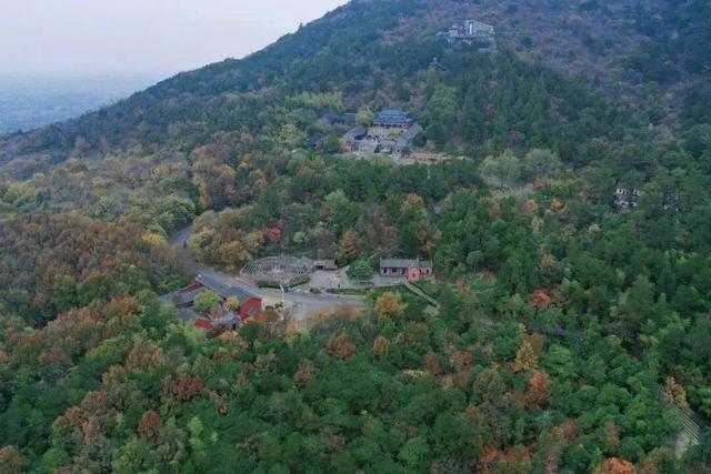 嘘~当你用分贝的方式打开冬日的金坛茅山，会听到……