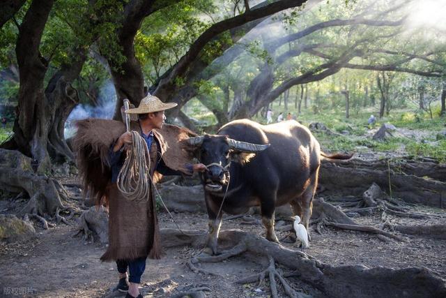 从湖南去了一趟霞浦，实话实说，回来才发现朋友圈都是骗人的？