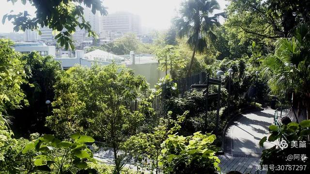 澳门白鸽巢公园