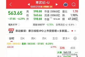 寒武纪突然闪崩，再回首800已在山顶！今日大跌什么原因引起？图片