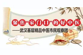 聚焦“家门口”的好中医，“市民观察团”走进武汉药安堂智慧中医馆图片