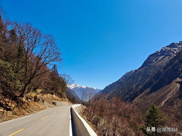 理小路环线今日风景！