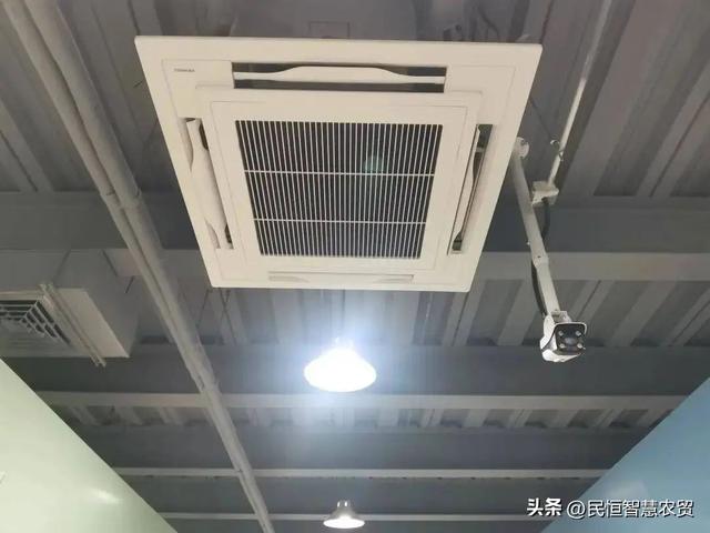 辟谣：智慧菜市场不适合老年人？