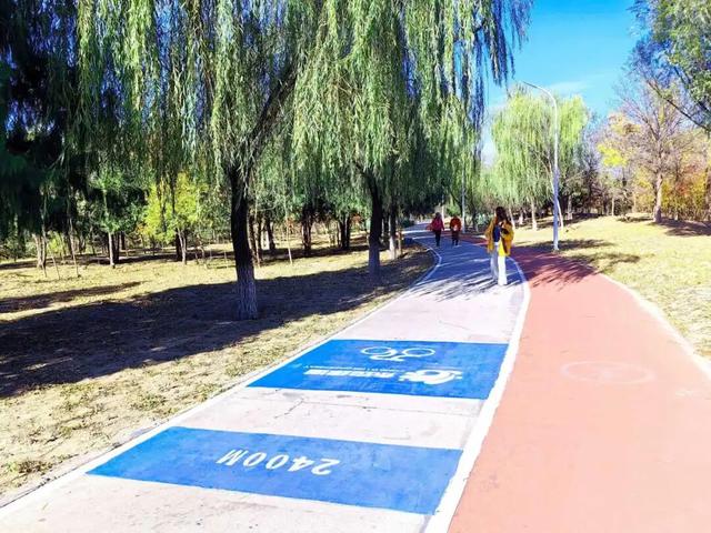 美翻了！丰台这些“秋季限定”进入倒计时→