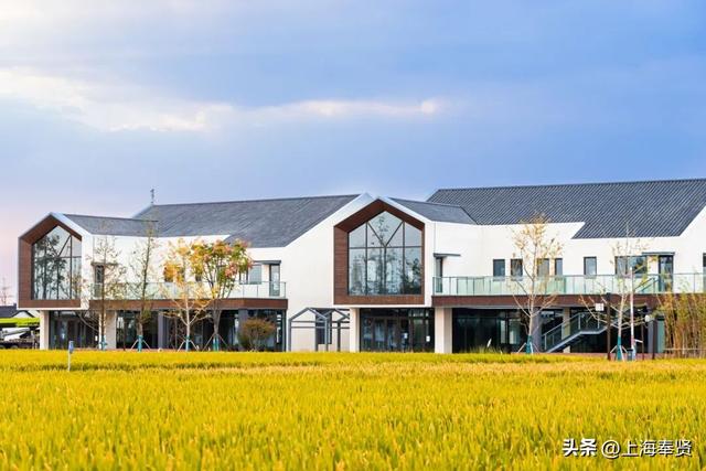 “美美与共”秋日探访季之“美景”稻香篇