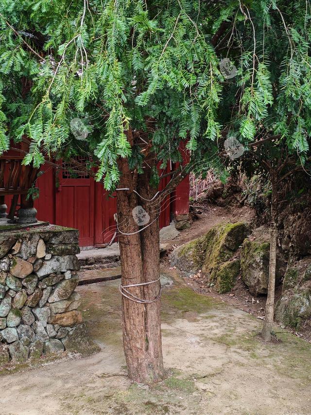 游宜黄南源仁和仙桥