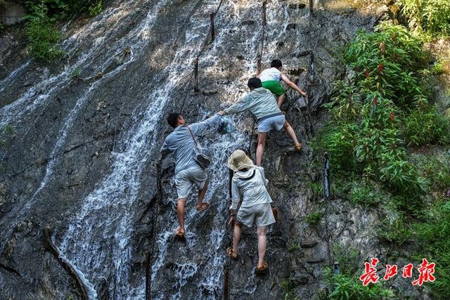 入伏啦！清凉寨里享清凉