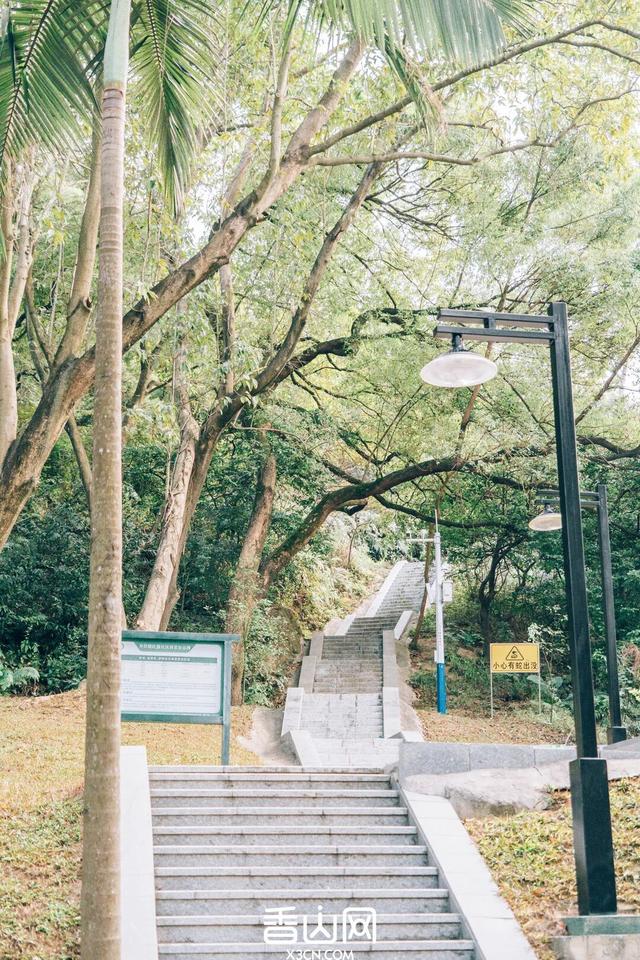 定了！“新”公园来了！景色堪比西湖！