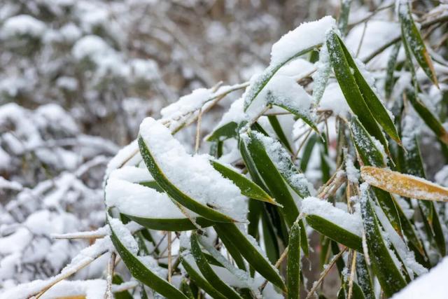 航小天带你看长安 | 雪落终南，千年诗意向云端！