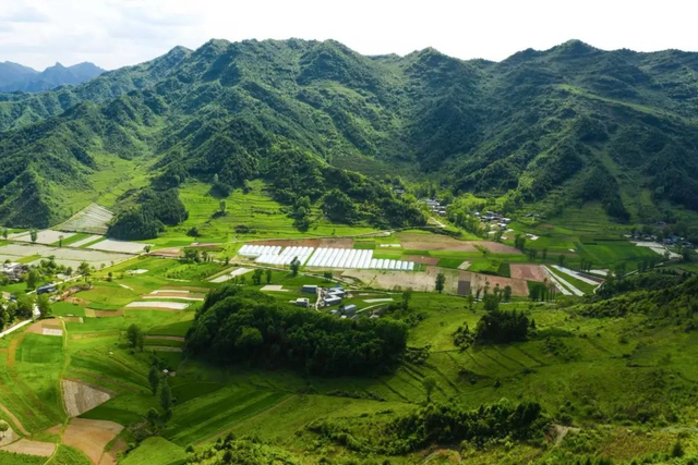 武都：快躲进黄坪25℃的清凉秘境