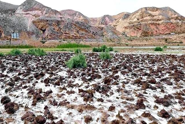 内蒙古奇迹：黄河水引入沙漠后，竟然产生这般景象！