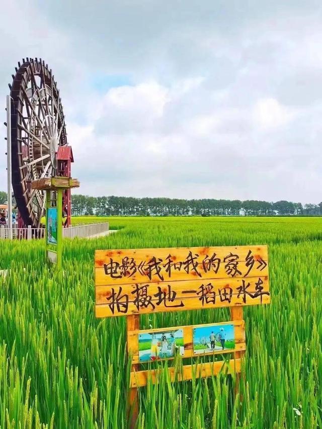 【假期推荐】假期最后两天，在这片金色田园打卡沈阳秋日最佳出片胜地